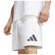 Adidas Ανδρικό σορτς Z.N.E. Shorts